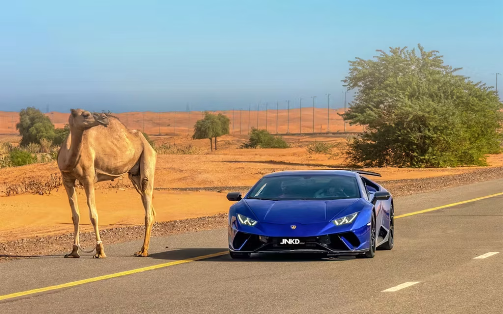 Dubai National Day