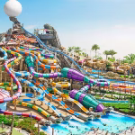 Abu Dhabi Family Trip