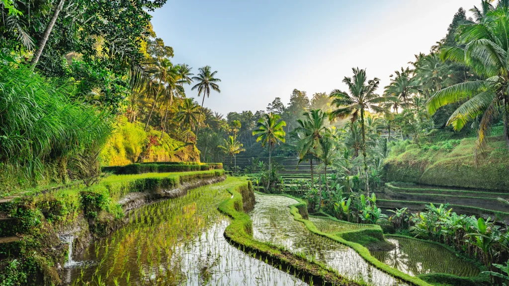 bali travel guide